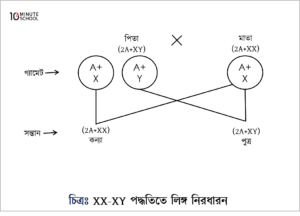 Santexnik qizni irodasiga qarshi sikdi.