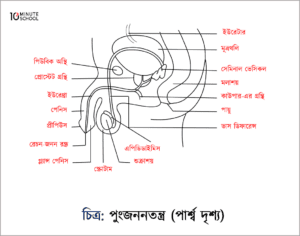 Onlayn porno kastinglardagi eng yaxshi modellar Jinsiy aloqa va ehtiros uyi porno