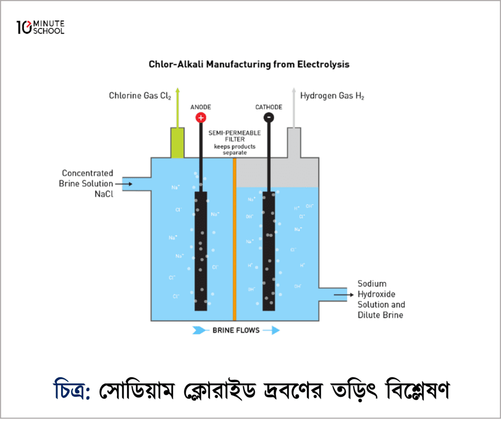 Orqa xonada rus jinsiy aloqa