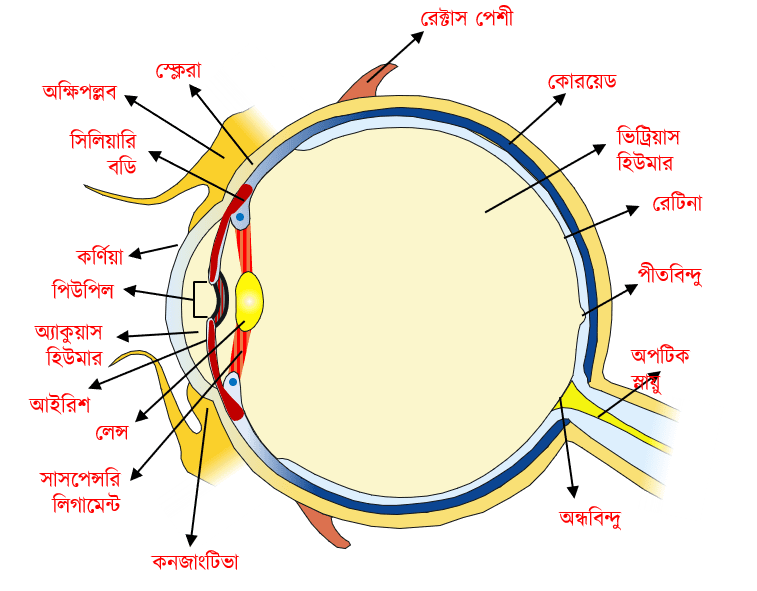 Ogli yosh onasini sikadi onlayn porno