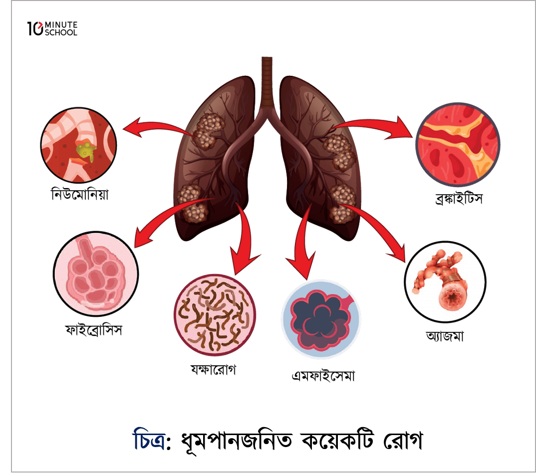 It uslubida anal jinsiy aloqani aks ettiruvchi onlayn porno tomosha qiling