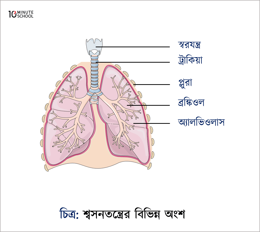 fnaf roxane footjob Multfilm gonzo porno multfilm futurama