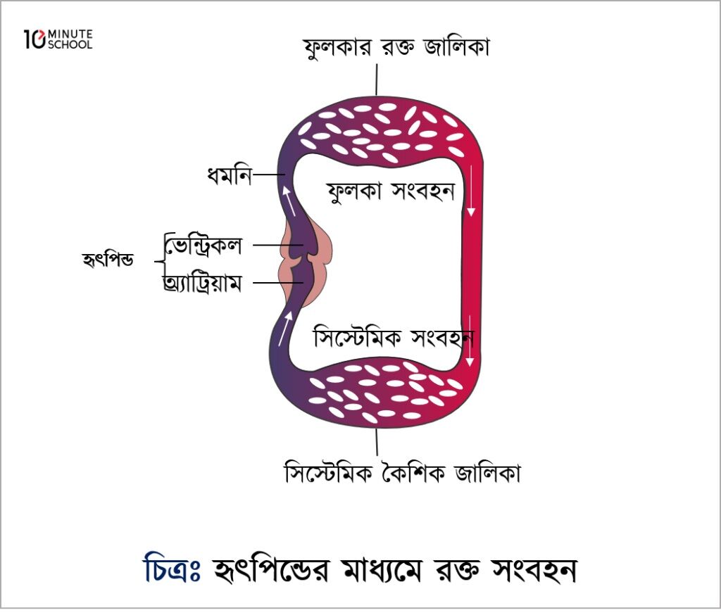 English to Bangla Meaning of stream - প্রবাহ