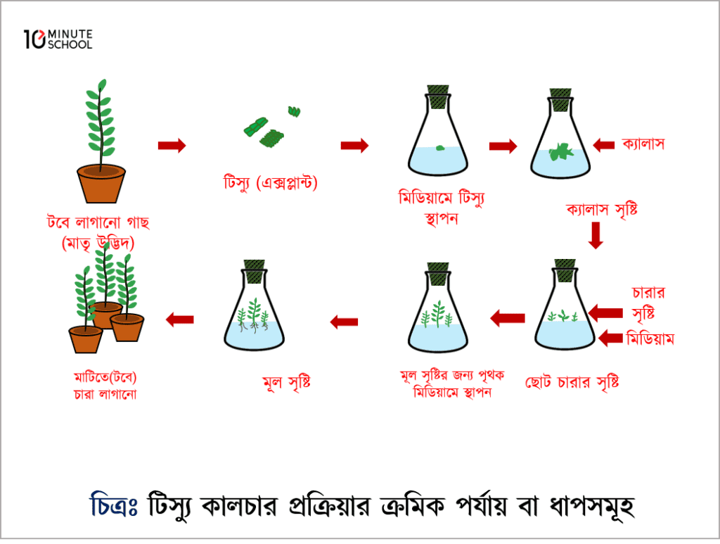 English to Bangla Meaning of process - প্রক্রিয়া